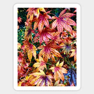 Fall Colors 2 Sticker